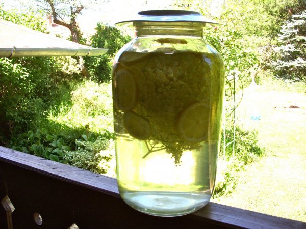 a napon jól néz ki, de a hűtőben kell érlelni