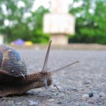 kép forrása: sxc.hu