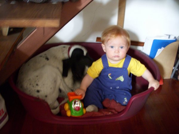 Teó és a konyhamalachelyettkutya